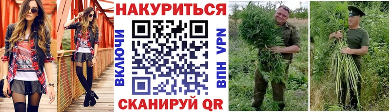 дарнет шоп Уварово Марихуана сатива